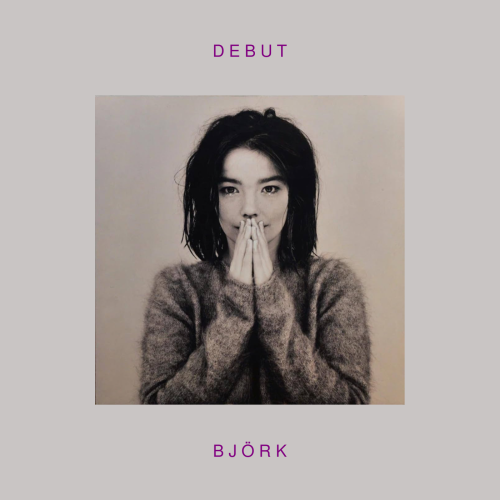 Björk - Debut ( Vinyl )