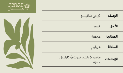 شاكيسو