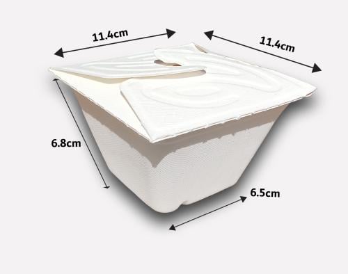 Sugarcane container LOCK UP white 550 ml with tight lid – small food box for takeout 300 pieces