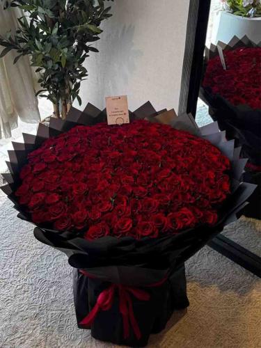 A bouquet of 200 red roses