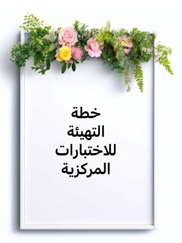 Test preparation plan for the central exams