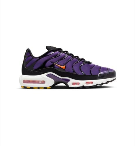 NIKE TN AIR MAX shoes