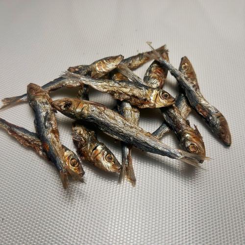 سمك سردين مجفف