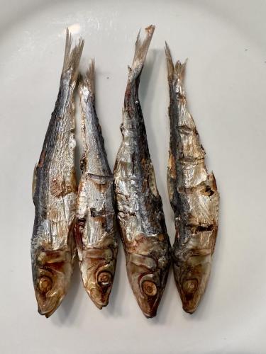 سردين صغير مجفف