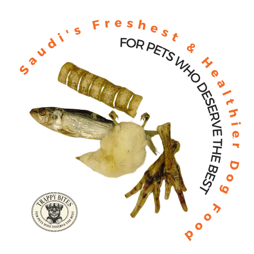 ترابي مكس مكملة للوجبات الأساسية