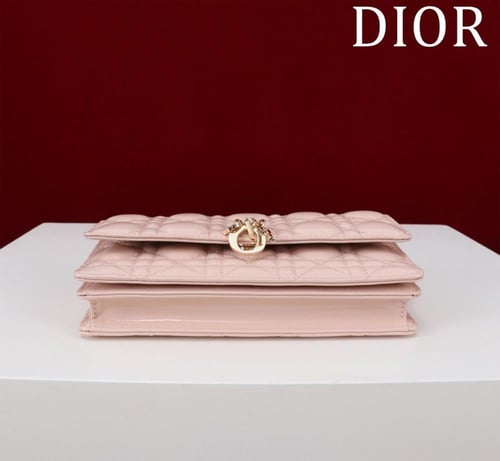 ديور شايني بينك