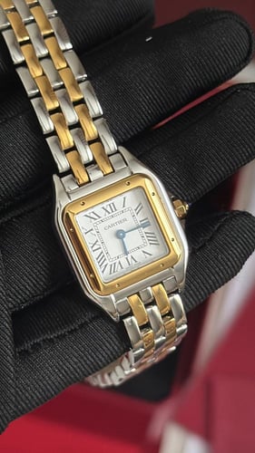 ساعه كارتير سمول - شنطة ديور