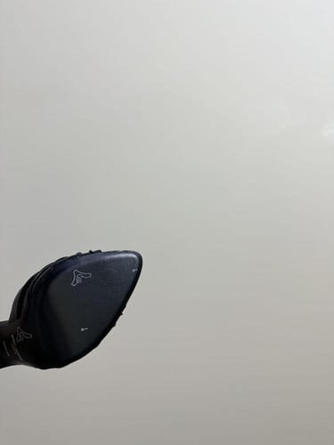 هيلز سالوران