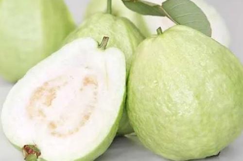 زبادي جوافة