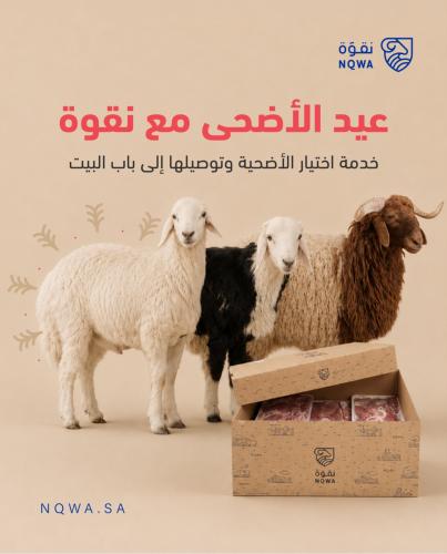 سواكني 9 -10 أشهر (20 كيلو تقريبًا)