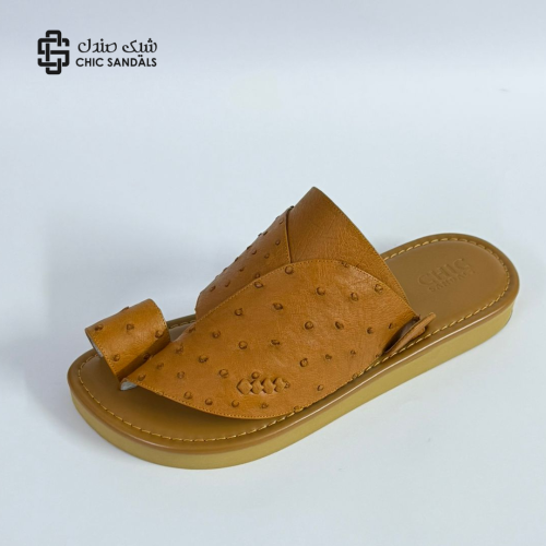 شرقي جلد نعام جملي