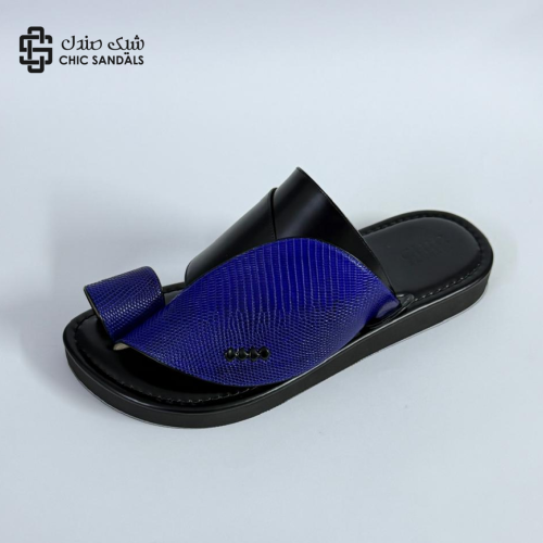 سحليه ازرق مع اسود