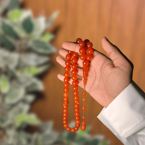 فاتوران مشمشي