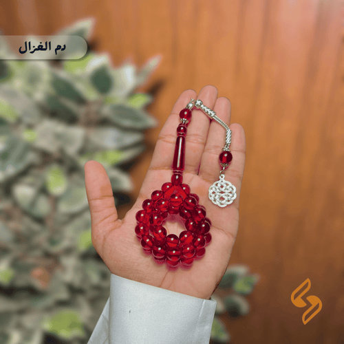 بكج 2 سبح + 2 سبح مجانا