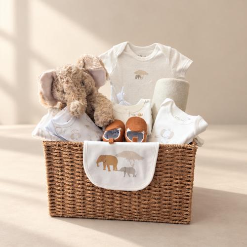 Baby Elephant