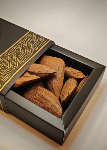 عود مروكي الاصالة