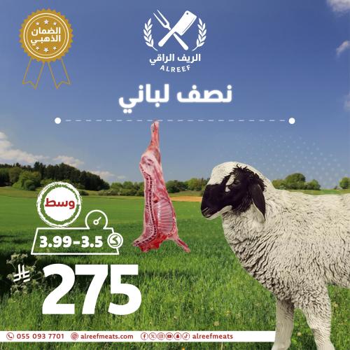 Half Lebanese Naeimi Kashmiri from 3.5 to 3.99 kil...