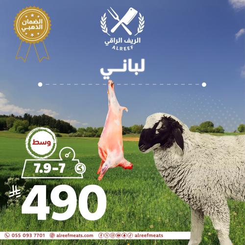 Naimi Kashmiri Laban from 7 to 7.9 kilograms