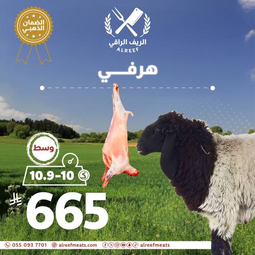 Hervee Naeemi Kashmiri from 10 to 10.99 kilograms