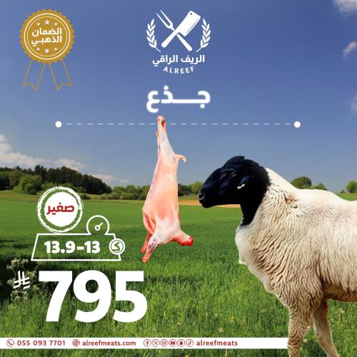 Naami Kashmir branch from 13 to 13.9 kilograms