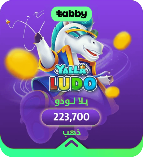 تقسيطيلا لودو 223700 ذهب