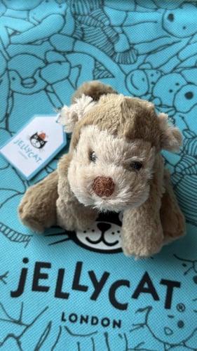 JellyCat Smudge Tiny Monkey