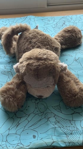 JellyCat Medium Smudge Monkey 35cm