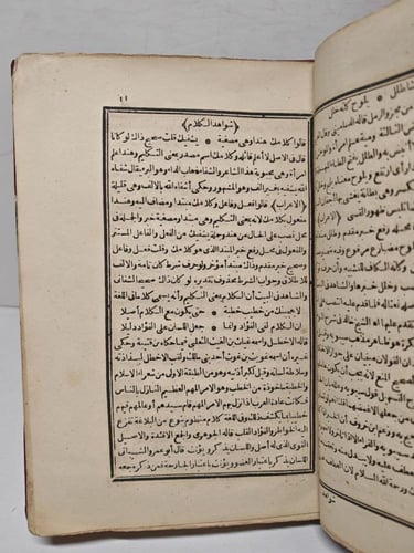 شروح الذهب في معرفة كلام العرب