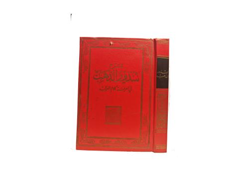 شرح شذور الذهب في معرفة كلام العرب