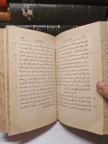 المصباح المنير