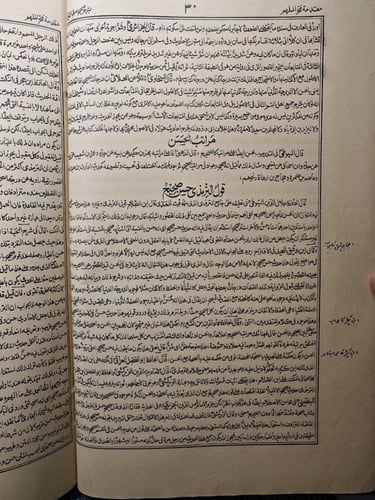 صحيح مسلم بفتح الملهم
