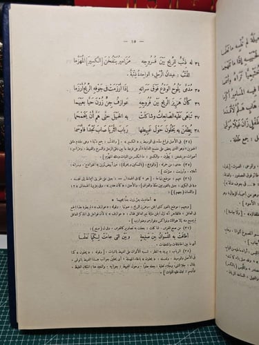 ديوان حميد بن ثور الهلالى