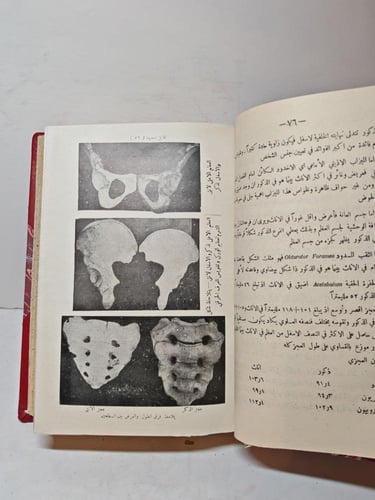 الطب الشرعي في مصر