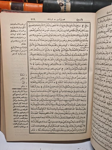 القاموس المحيط