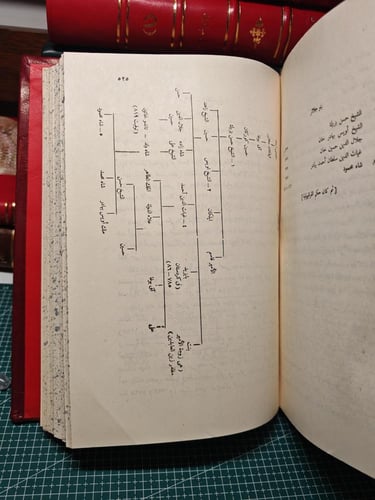 تاريخ الدول الأسلامية ومعجم الأسر الحاكمة