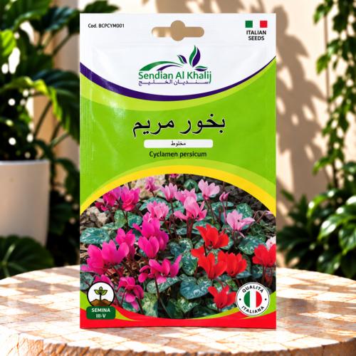 بذور زهور - بخور مريم