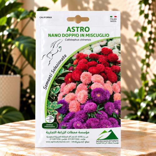 بذور زهور - ASTRO
