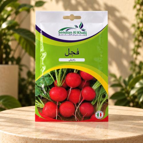 بذور فجل