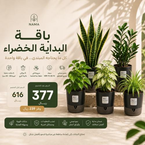 باقة النجاح للمبتدئين