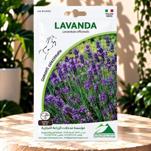 بذور زهور - LAVANDA