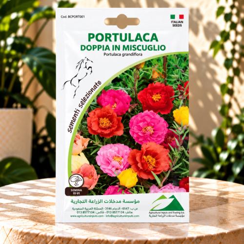 بذور زهور - PORTULACA