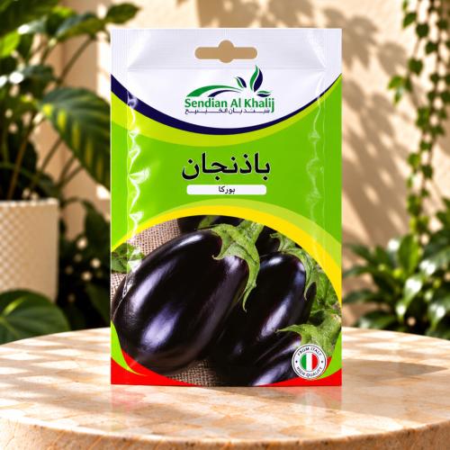 بذور باذنجان