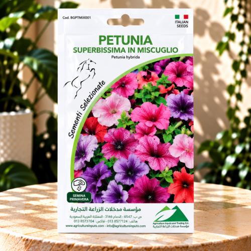 بذور زهور - PETUNIA
