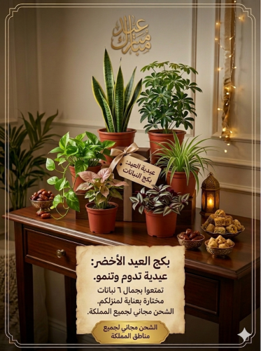 بكج العيد الأخضر
