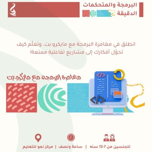 مغامرة البرمجة مع مايكرو:بت