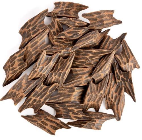 تايقر فيتنامي