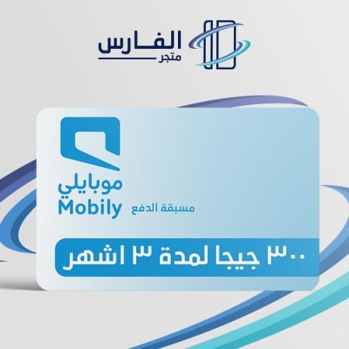 300 جيجا لمدة 3 اشهر