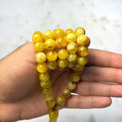 مسباح كهرمان شوائب