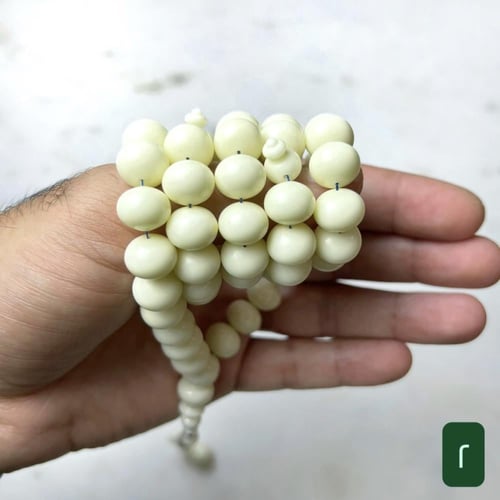 مسباح دومنه حليبي