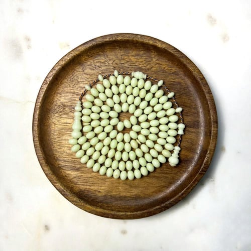 مسباح دومنه فستقي